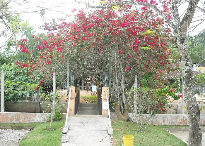 Hotel: Carasol Hotel